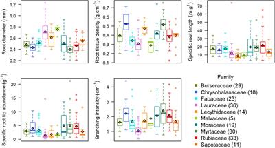 Weak phylogenetic and habitat effects on root trait variation of 218 Neotropical tree species